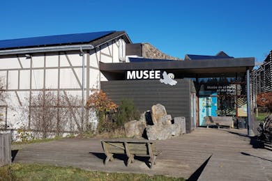 Bos- en Watermuseum "P. Noé"